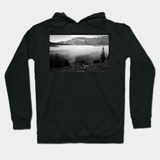 Near Grindelwald, Switzerland Hoodie